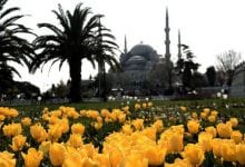 حديقة الزهور اسطنبول